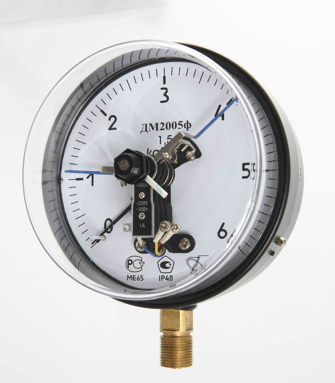 Жалаңаш отбасы демалып жатыр