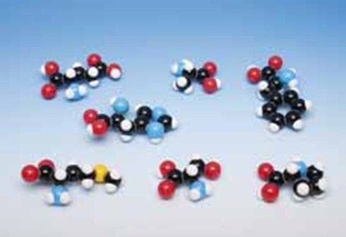 Модель молекулярная Molymod, органические макромолекулы Тип: Набор из 7 аминокислот 2