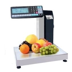 Печатающие весы-регистраторы МК-15.2-RL10-1